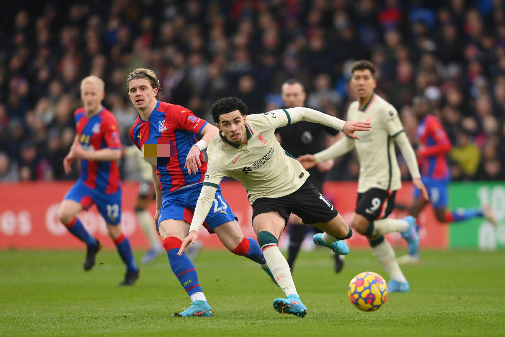 尼科的决定 尼科的决定